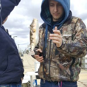 Meet your Posher, Kyle